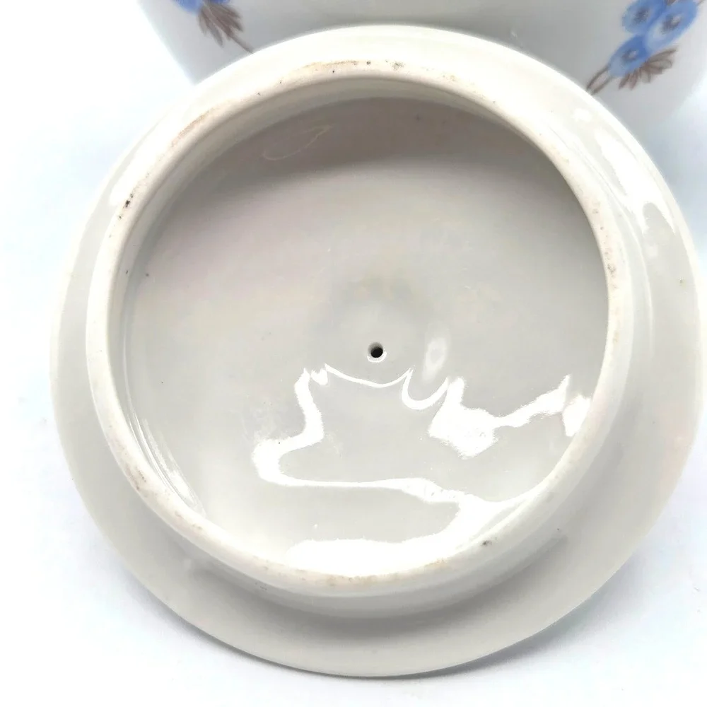 VINTAGE Bavarian Fine China Porcelain TeaPot Delicate Blue Floral Gold‎ Trim